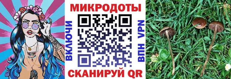наркотики  Семёнов  MEGA маркетплейс  Псилоцибиновые грибы мухоморы 